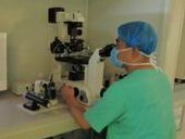 福建试管助孕生子_泉州助孕联系方式_泉州正规助孕机构