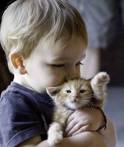 第三代试管婴儿的总费用是多少？第三代试管婴儿多少钱？