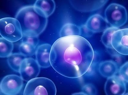 泰国试管婴儿多少钱？三代技术费用解析，助你了解真相